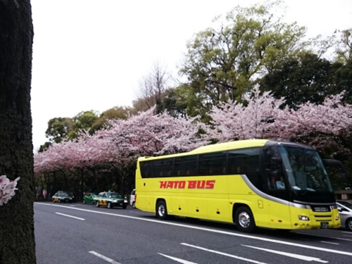 徳島市で車のレンタルを検討しているなら【石井観光】~大人数の場合はバスが便利~